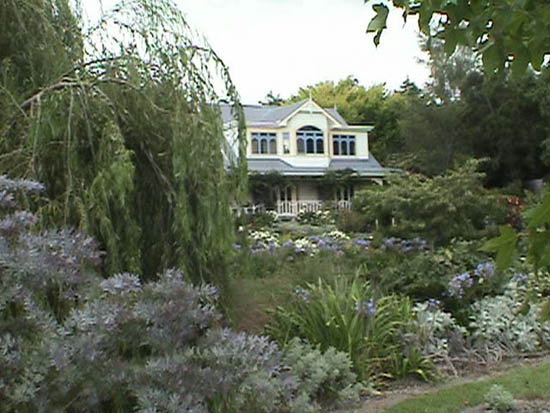 Photos of Hydrangeas
