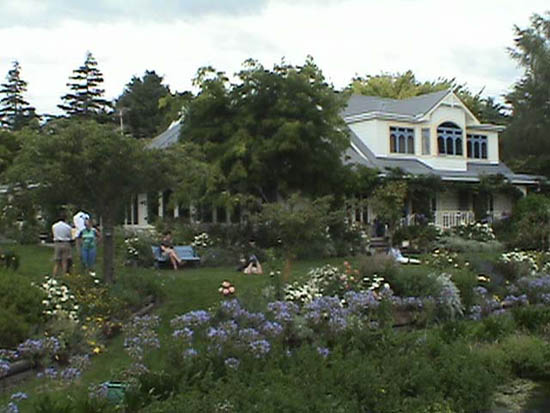 Photos of Hydrangeas