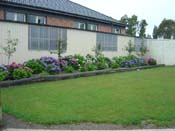 hydrangeaCentre_Bush_School