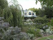 hydrangeaHortensia_House3
