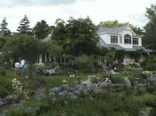 hydrangeaHortensia_House4