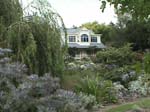 hydrangeaHortensia_House3